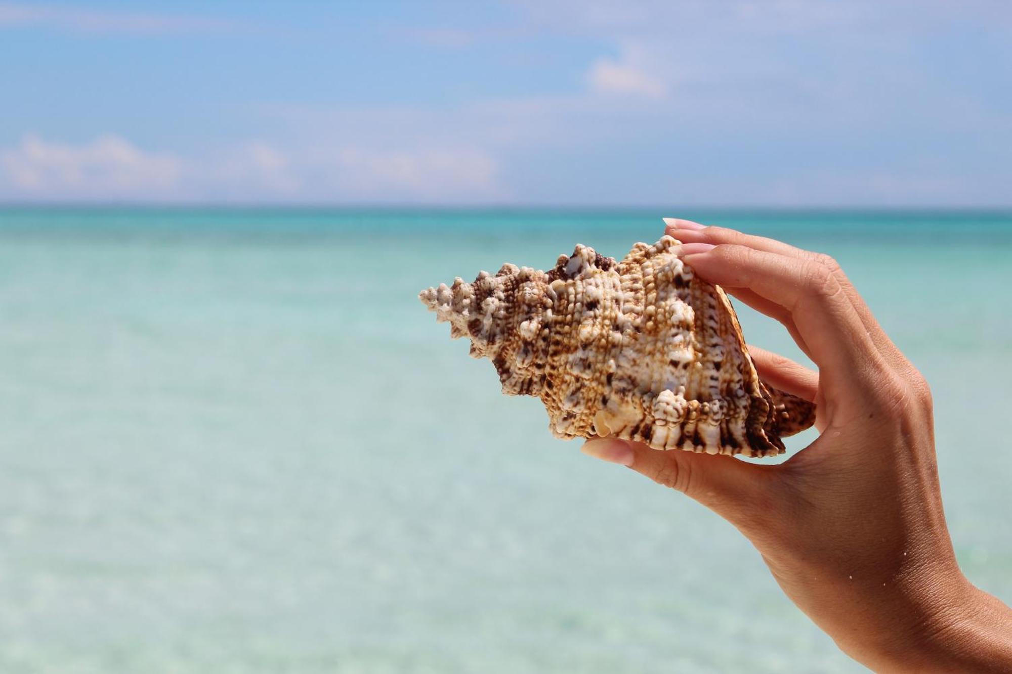 Mamello Beach Club Maldives Feridhoo エクステリア 写真