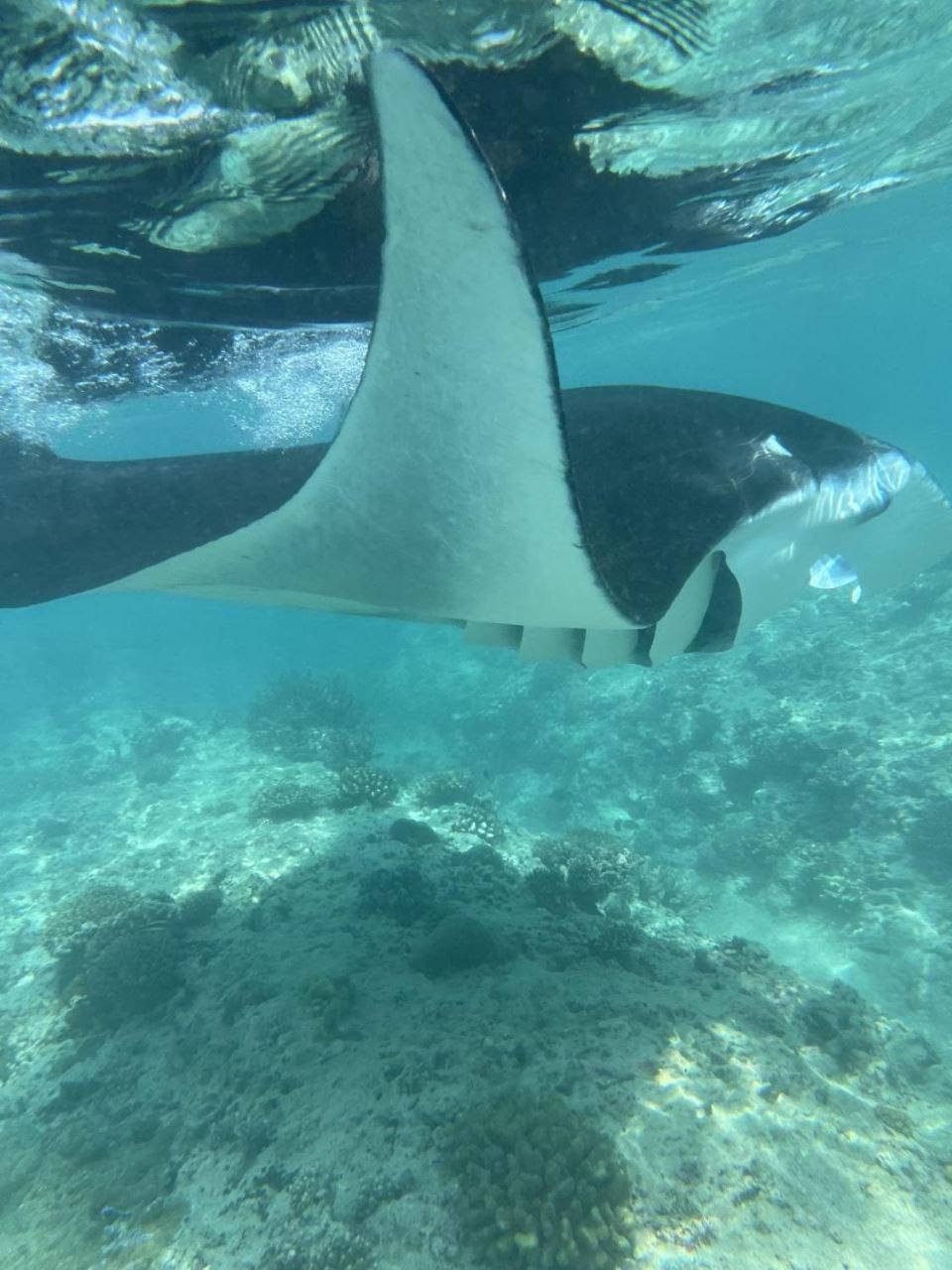 Mamello Beach Club Maldives Feridhoo エクステリア 写真