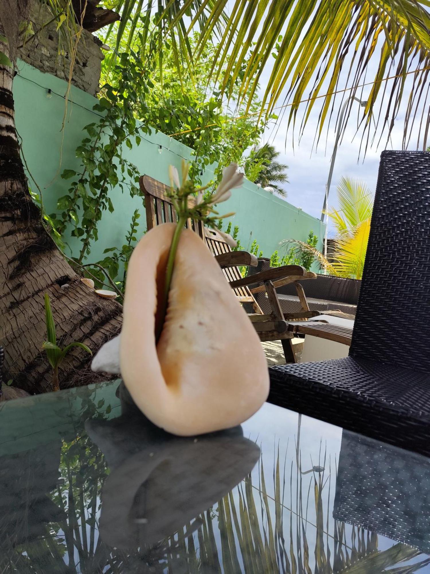 Mamello Beach Club Maldives Feridhoo エクステリア 写真
